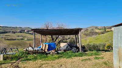 Rustico/Casale in vendita a Montefiore del... - foto 5
