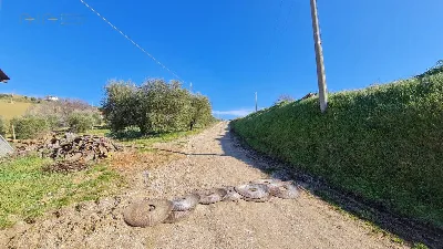 Rustico/Casale in vendita a Montefiore del... - foto 9