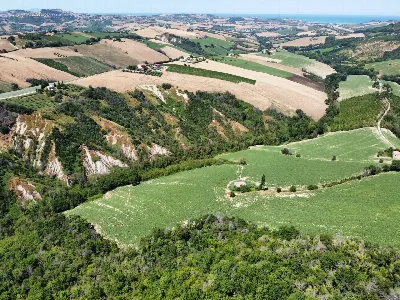 Rustico/Casale in vendita a Monterubbiano - foto 10