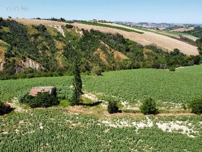 Rustico/Casale in vendita a Monterubbiano - foto 3