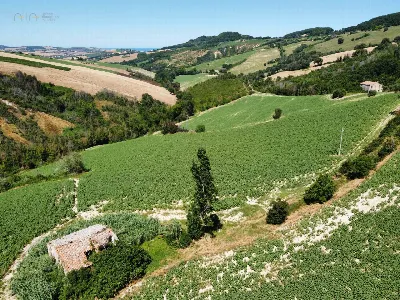 Rustico/Casale in vendita a Monterubbiano - foto 6