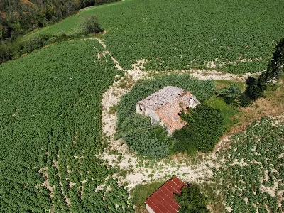 Rustico/Casale in vendita a Monterubbiano - foto 7