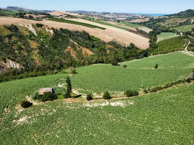 Rustico/Casale in vendita a Monterubbiano - foto 9