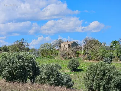 Rustico/Casale in vendita a Cupra Marittim... - foto 10