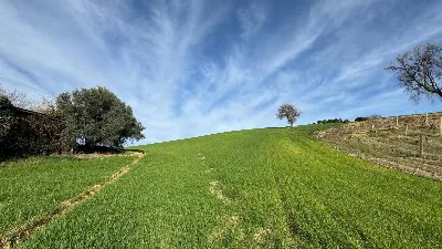 Rustico/Casale in vendita a Offida - foto 10