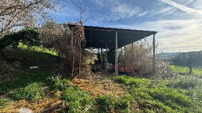 Rustico/Casale in vendita a Offida - foto 5