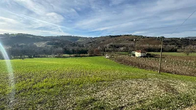 Rustico/Casale in vendita a Offida - foto 6