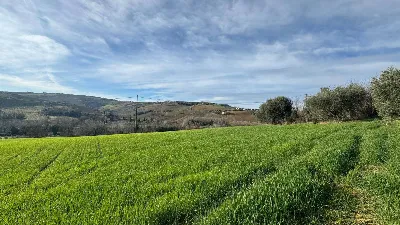 Rustico/Casale in vendita a Offida - foto 7