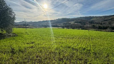 Rustico/Casale in vendita a Offida - foto 8