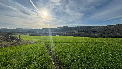 Rustico/Casale in vendita a Offida - foto 9