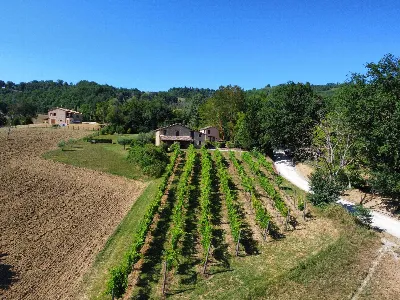 Rustico/Casale in vendita a Gualdo - foto 9