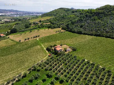 Rustico/Casale in vendita a Controguerra - foto 10
