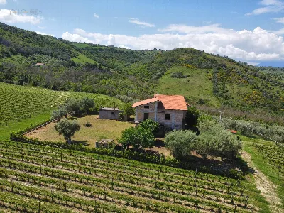 Rustico/Casale in vendita a Controguerra - foto 7