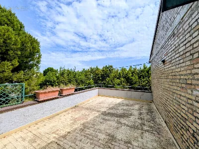 Rustico/Casale in vendita a Offida - foto 3