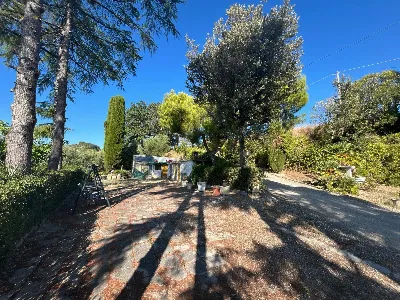 Rustico/Casale in vendita a Montefiore del... - foto 5