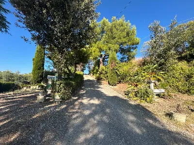 Rustico/Casale in vendita a Montefiore del... - foto 7