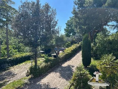 Rustico/Casale in vendita a Montefiore del... - foto 9