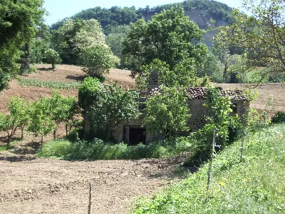 Rustico/Casale in vendita a Force - foto 10