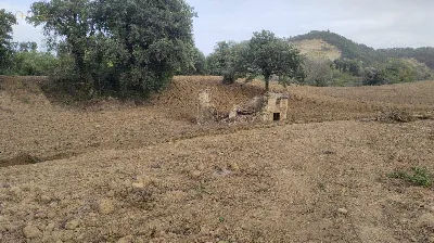 Rustico/Casale in vendita a Force - foto 3