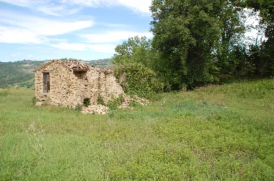 Rustico/Casale in vendita a Force - foto 4