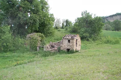Rustico/Casale in vendita a Force - foto 6