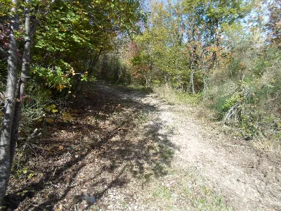 Rustico/Casale in vendita a San Ginesio - foto 10
