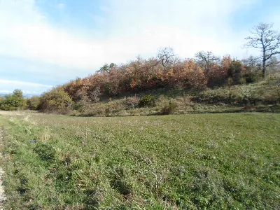 Rustico/Casale in vendita a San Ginesio - foto 7