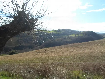 Rustico/Casale in vendita a San Severino M... - foto 3