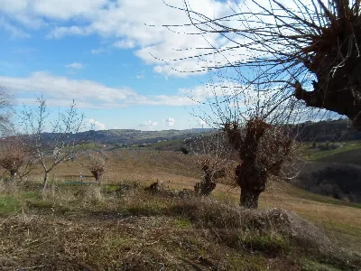 Rustico/Casale in vendita a San Severino M... - foto 4