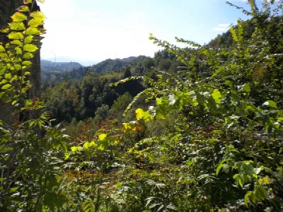 Rustico/Casale in vendita a Comunanza - foto 2
