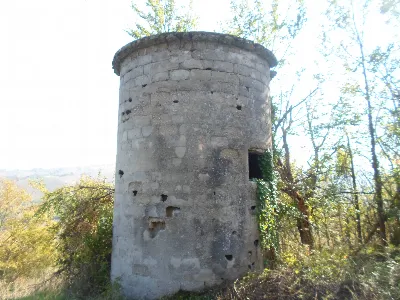 Rustico/Casale in vendita a Montefalcone A... - foto 4