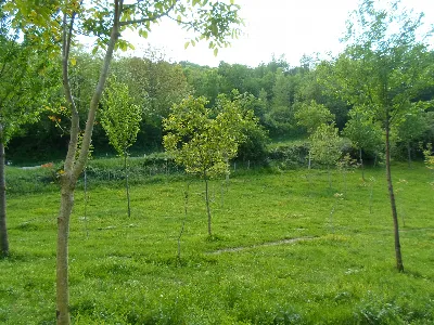 Rustico/Casale in vendita a San Ginesio - foto 6