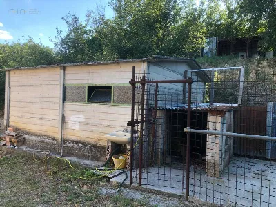 Rustico/Casale in vendita a Montefalcone A... - foto 8