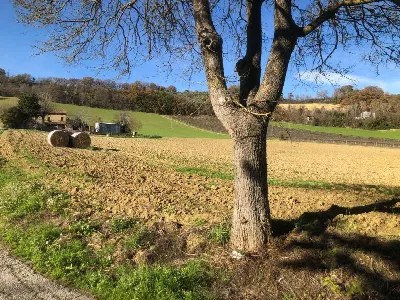 Villa in vendita a Ripatransone - foto 10