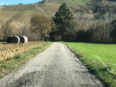 Villa in vendita a Ripatransone - foto 7