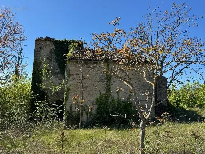 Rustico/Casale in vendita a Montelparo - foto 10