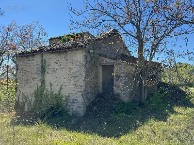 Rustico/Casale in vendita a Montelparo - foto 2