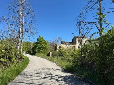 Rustico/Casale in vendita a Montelparo - foto 3