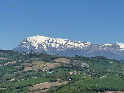 Rustico/Casale in vendita a Montelparo - foto 4
