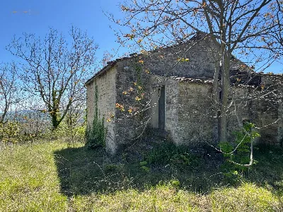 Rustico/Casale in vendita a Montelparo - foto 9