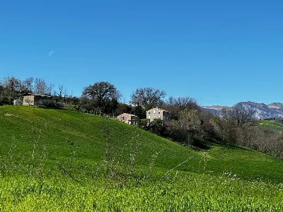 Rustico/Casale in vendita a Sant'Angelo in... - foto 3