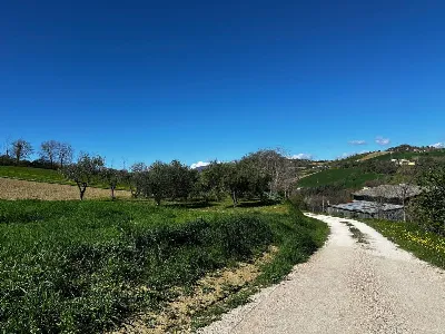 Rustico/Casale in vendita a Sant'Angelo in... - foto 4
