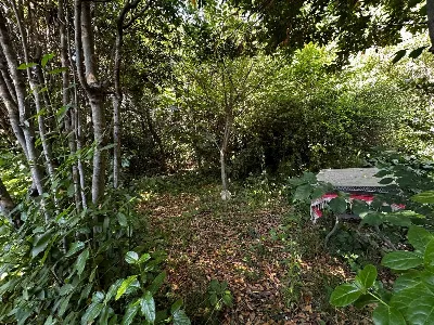 Rustico/Casale in vendita a Lapedona - foto 6