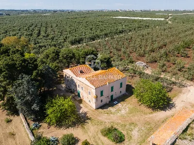 Rustico/Casale in vendita a Corato - foto 3