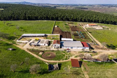 Rustico/Casale in vendita a Corato - foto 1
