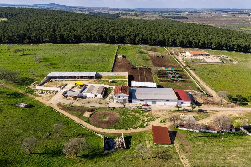 Rustico/Casale in vendita a Corato - foto 1