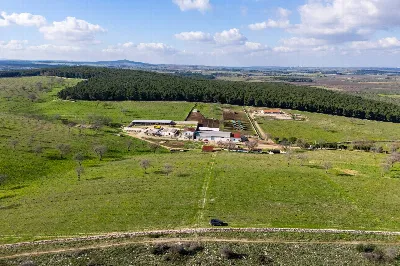 Rustico/Casale in vendita a Corato - foto 2