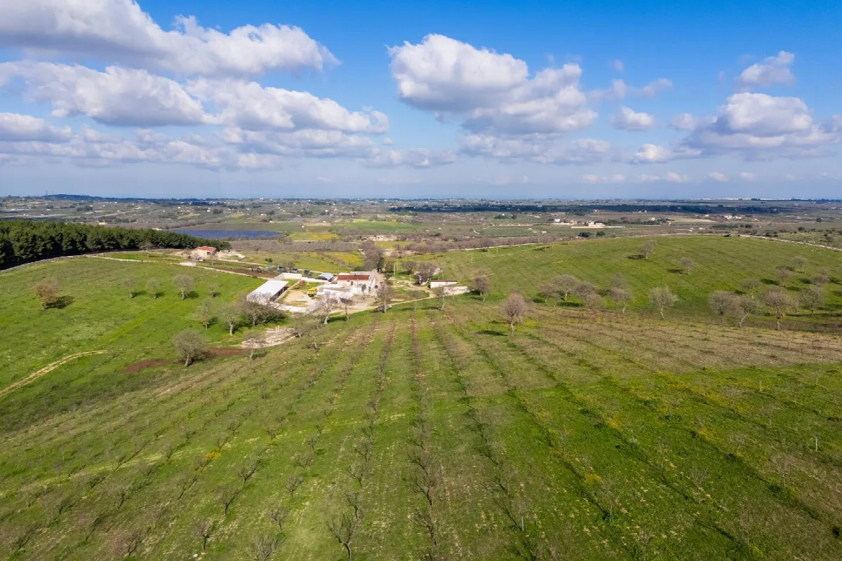 Rustico/Casale in vendita a Corato - foto 3