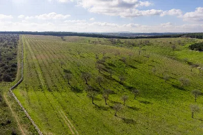 Rustico/Casale in vendita a Corato - foto 4