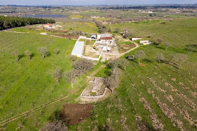 Rustico/Casale in vendita a Corato - foto 5